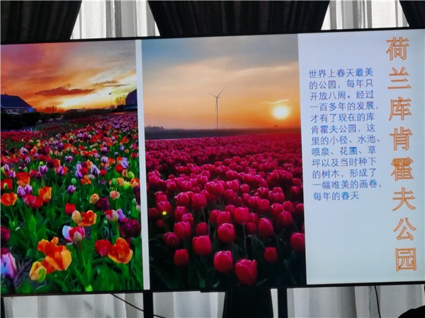 &#33521;&#22269;&#19978;&#24066;&#20844;&#21496;&#23448;&#32593;&#51;&#54;&#53;&#40;&#20013;&#22269;&#41;&#32929;&#20221;&#26377;&#38480;&#20844;&#21496;