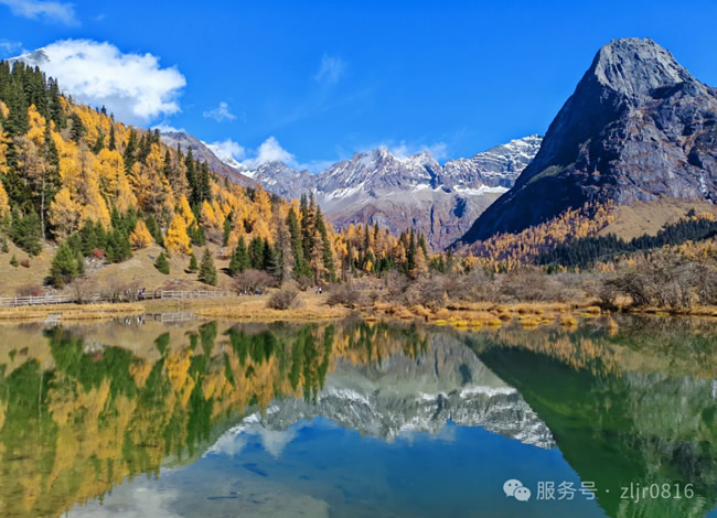 &#33521;&#22269;&#19978;&#24066;&#20844;&#21496;&#23448;&#32593;&#51;&#54;&#53;&#40;&#20013;&#22269;&#41;&#32929;&#20221;&#26377;&#38480;&#20844;&#21496;